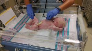 IMG_20140618_101113297